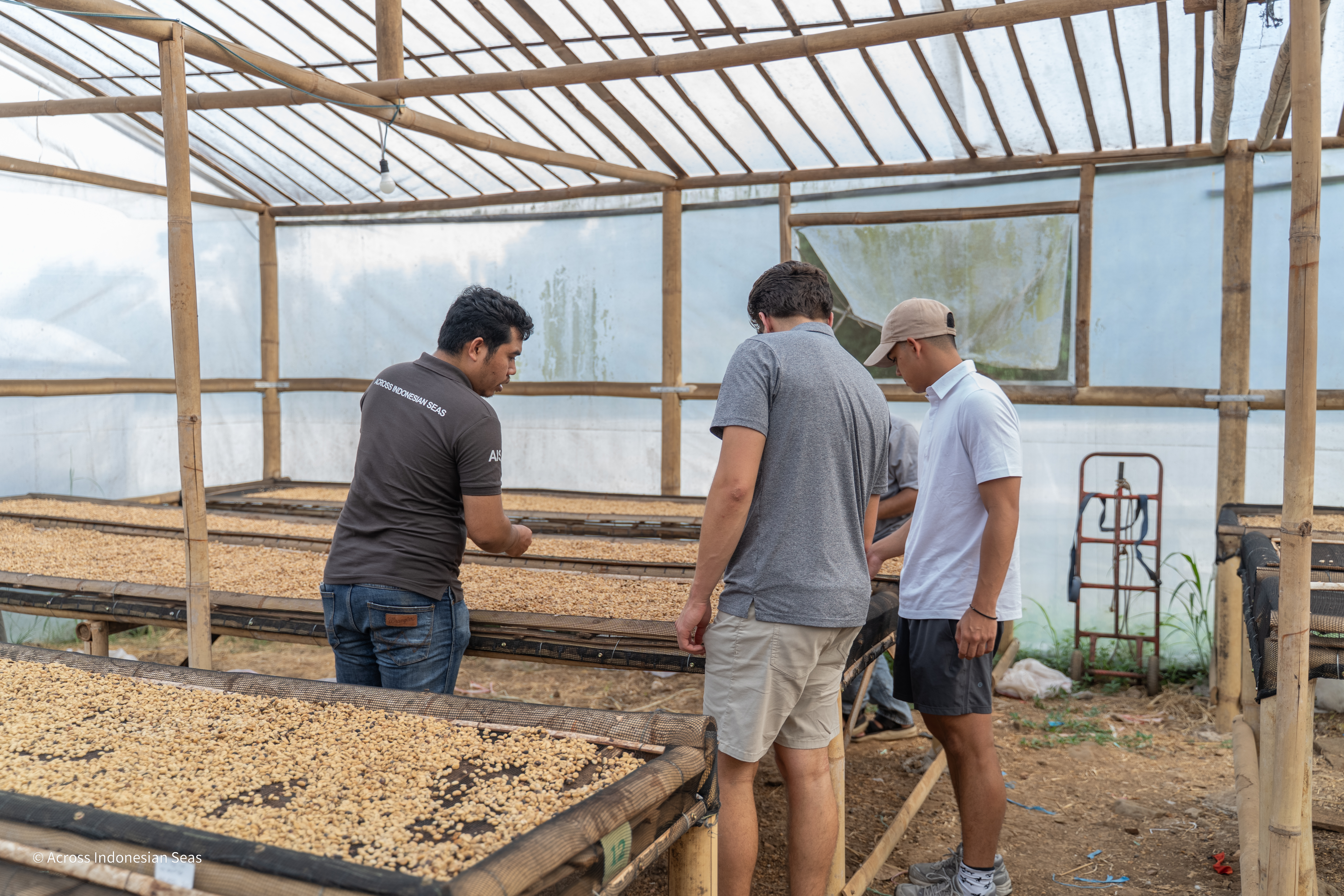 AIS team inspecting coffee at origin